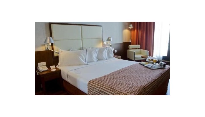 Hotel Vip Executive Arts poza 1