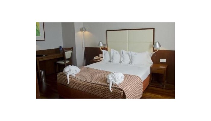 Hotel Vip Executive Arts poza 5